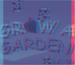 Freind group dev team