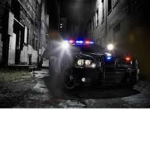 Brookhaven swat members