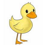 The Duck Group.