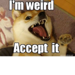 onederp
