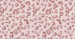 - | ally’s pretties! | - ꣑ৎ