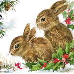 brilliant bunnies