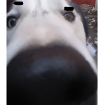 Lobiux