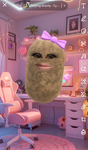 ~*Paigessquad*~