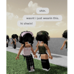 the shwins