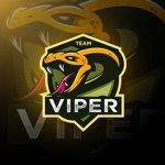 Viper Dojo