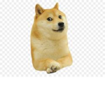 doge's and friends only
