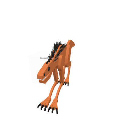 Unknown species of Animal