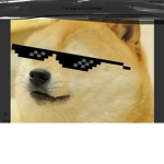 The Doge FBI