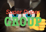 SDgroup