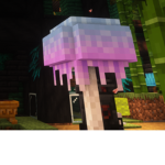 is that catter??