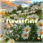 ・flowerfield ・