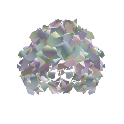 holographic curly hair Roblox item