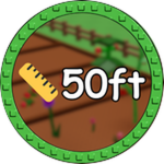 50ft Plant!