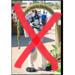 Furry control (prevents furrys)