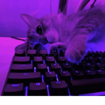 hi guys I'm a gamr
