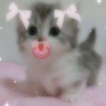 ʚ Xlená ɞ