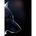 Darkness Wolf Pack