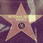 4L stars