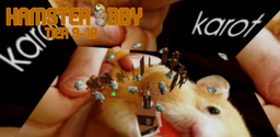 Obby chomika (poziom 9-10)