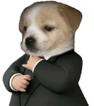 Lz_Clothe