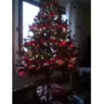 A beautiful Christmas tree!!