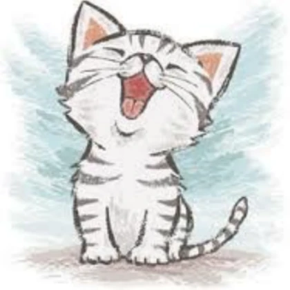 Kitten image