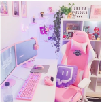 Gamer Girls~