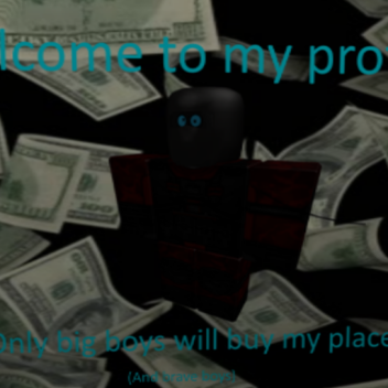 Mini Obstacle course!