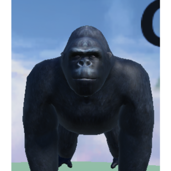 Gorilla Tag Only Up