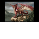 -DRAGONS UNITED-
