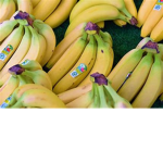 Banana Eater Army