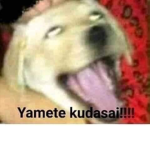 SeeU121's Group