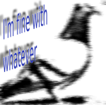 I'm fine with whatever