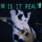 no ƆonɈǝxɈ