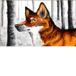 Wings Of Fire! and Fire Fox