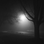 Ecliptrix
