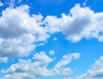 ~Flourishing Skies~