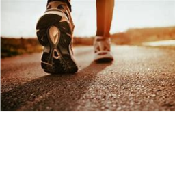 Take a Walk Around
