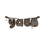 yae necklace