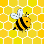 Bee Airways