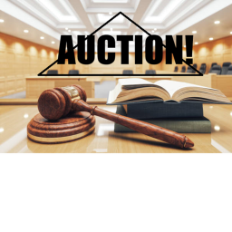 Auction