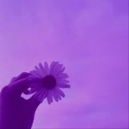 is