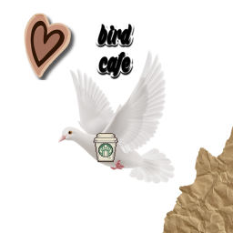 Bird cafe!