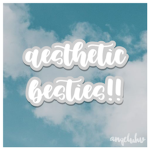 aesthetic besties!!
