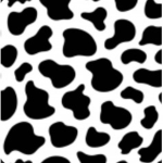 team vacas