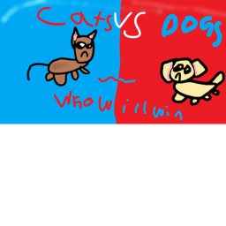 CATS VS DOGS