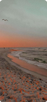 Paridise island