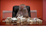 Rich monkey $$$