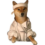 DOGE FACTIONS